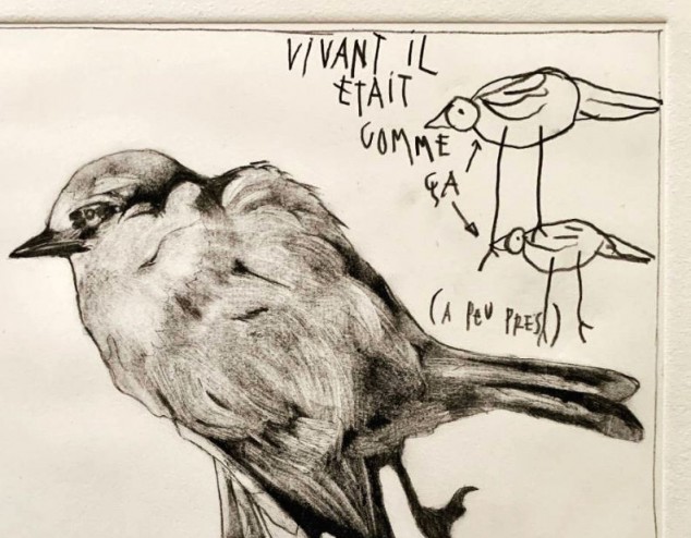 Sans Titre (Bird)