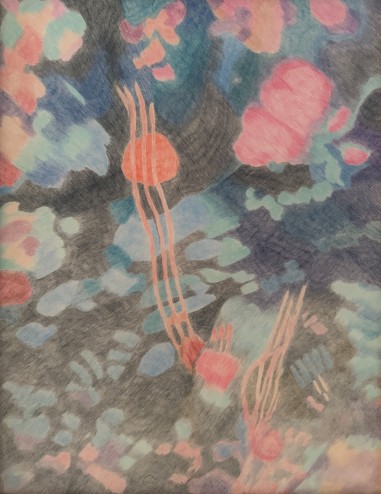 Astragale de Marseille