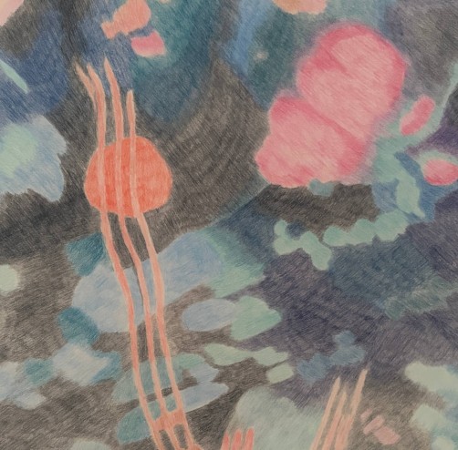 Astragale de Marseille