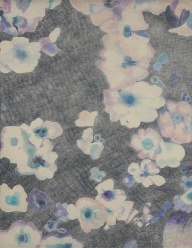 Ciste blanche, rencontre