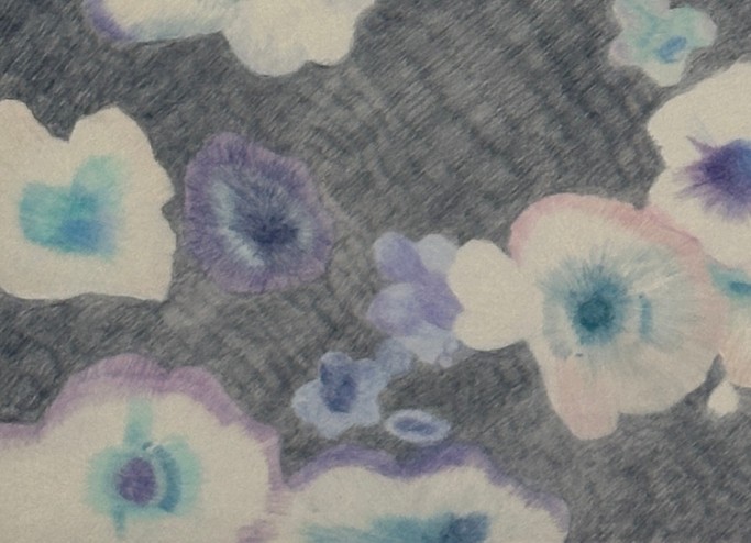 Ciste blanche, rencontre