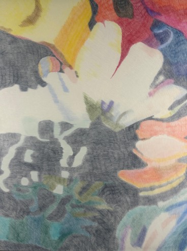 Les fleurs des calanques