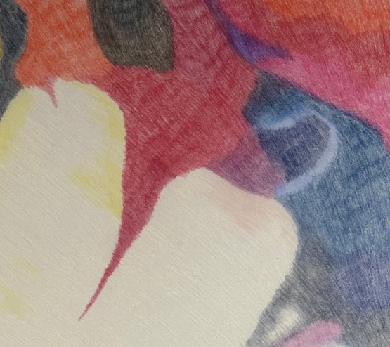 Les fleurs des calanques