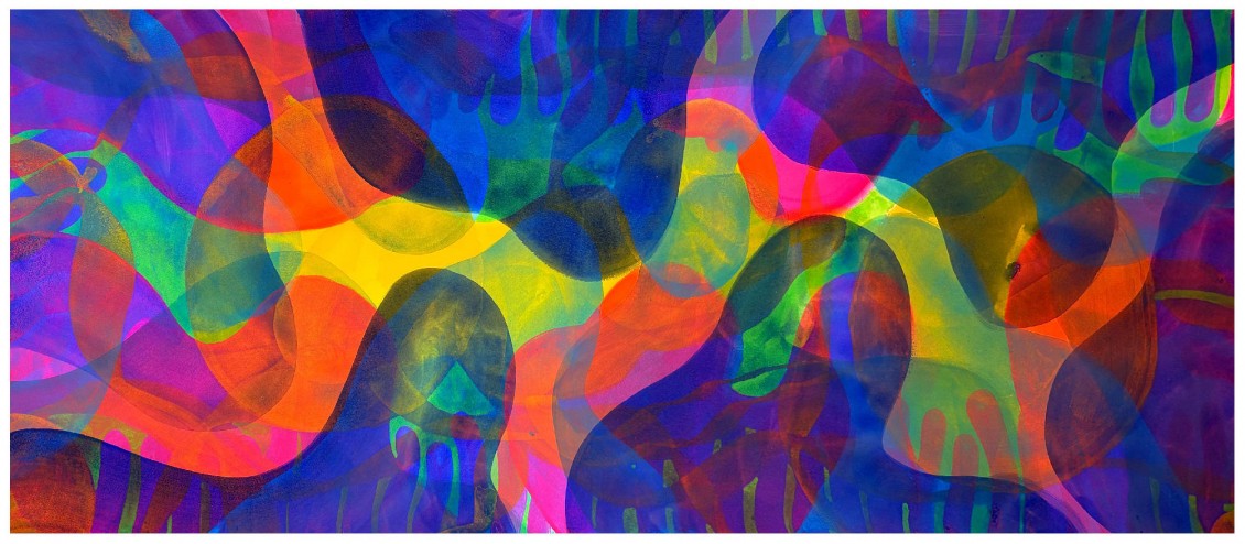 Le Groove des algues