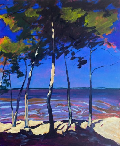 Le Bassin d'Arcachon