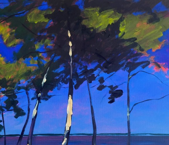 Le Bassin d'Arcachon