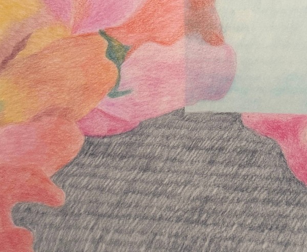 Mélangés aux légumes, les...