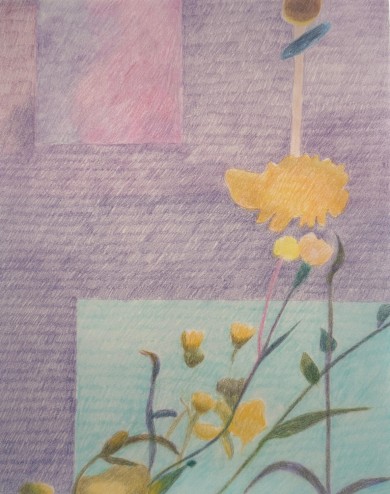 C'était des fleurs jaunes,...