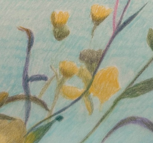 C'était des fleurs jaunes,...