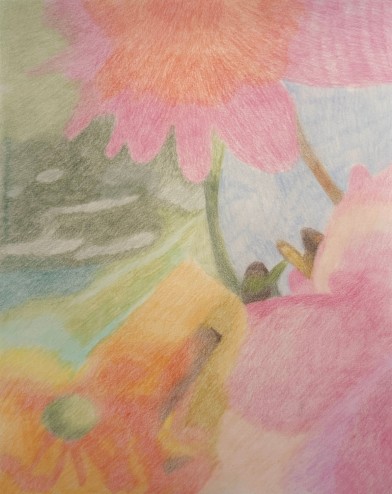 Les merveilleux bouquets...