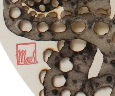 Œilletons à l'Octopus Noir N°1 - detail
