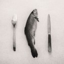 Fish on the table