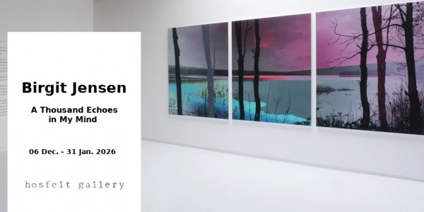 EXHIBITION // BRIGIT JENSEN // HOSFELT GALLERY // SAN FRANCISCO