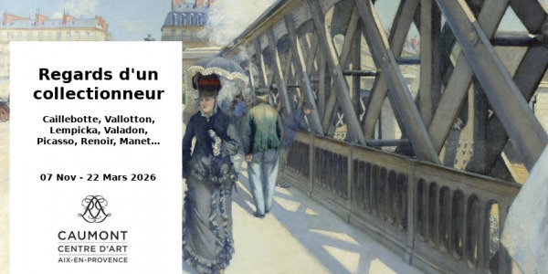 EXPO // REGARDS D'UN COLLECTIONNEUR // CENTRE D'ART - HOTEL DE CAUMONT // AIX EN PROVENCE